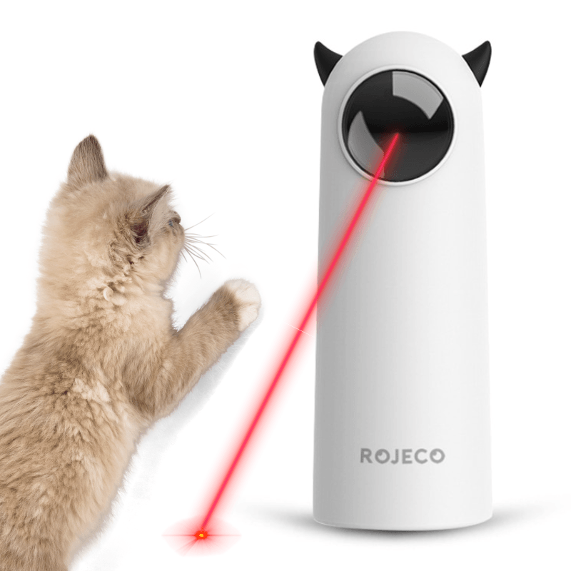 Laser Automático para Pets - Sonho Popular